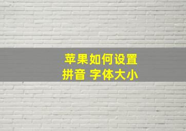 苹果如何设置拼音 字体大小